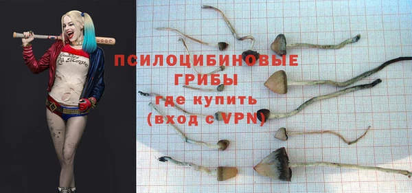 ECSTASY Абдулино