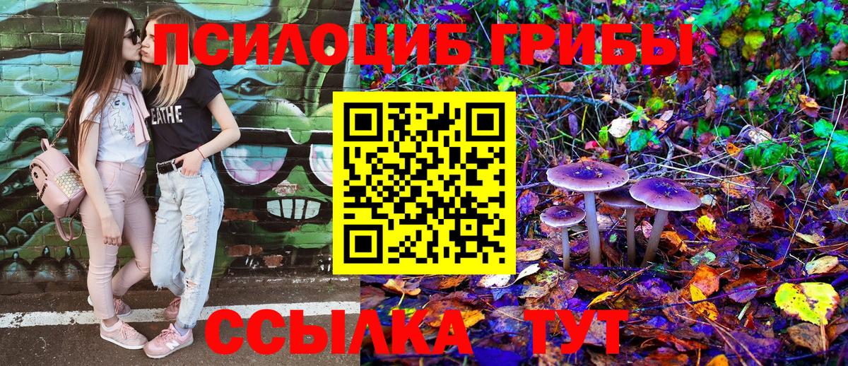 Тавда  Псилоцибиновые грибы MAGIC MUSHROOMS  Вход с VPN  Галлюциногенные грибы Psilocybine cubensis 