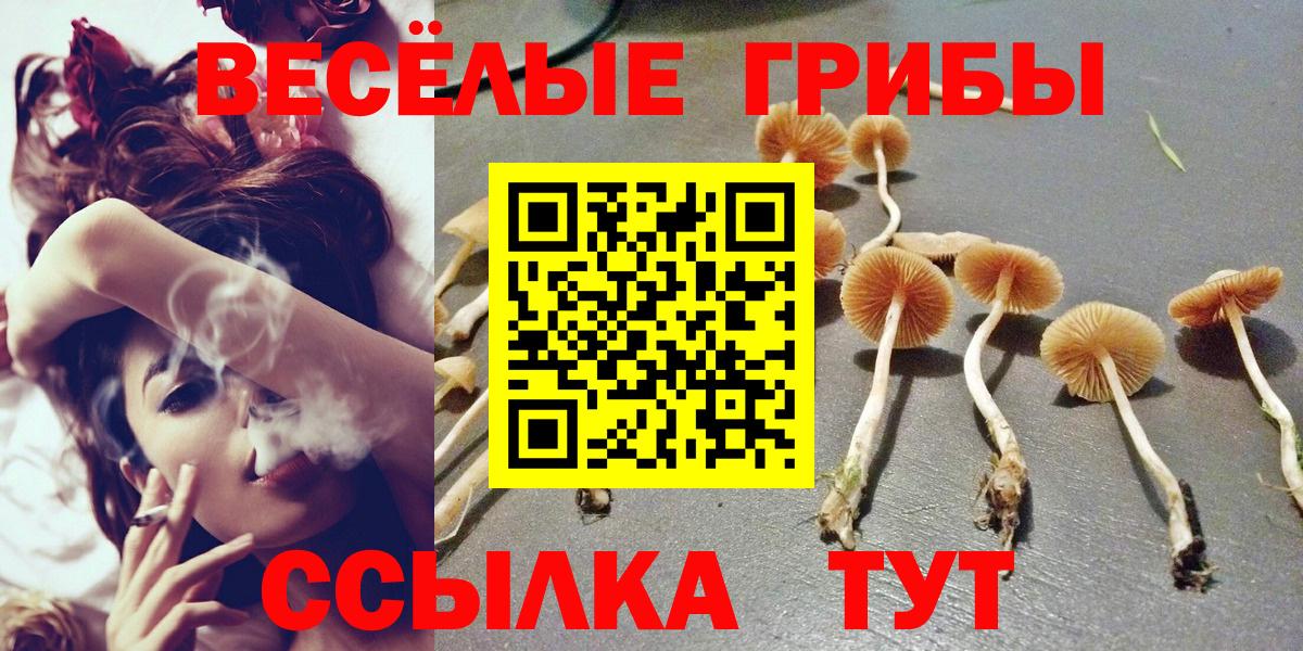 Псилоцибиновые грибы мухоморы Тавда